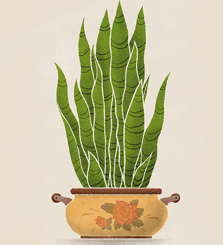 Grimpa - Galeria e Bureau Fine Art - ILUSTRAO
